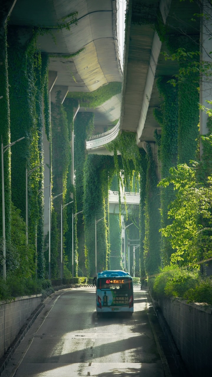 Shuangqiaomen's Verdant Urban Tunnel Roads