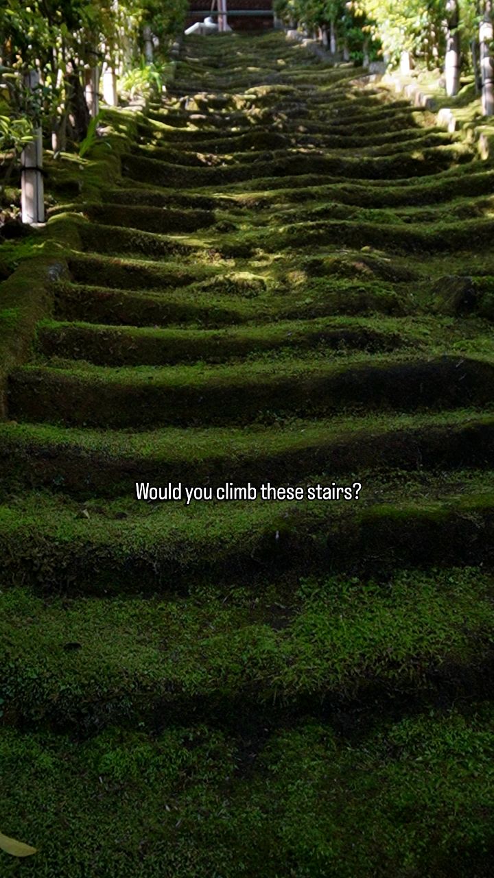 2 Attractions in Japan