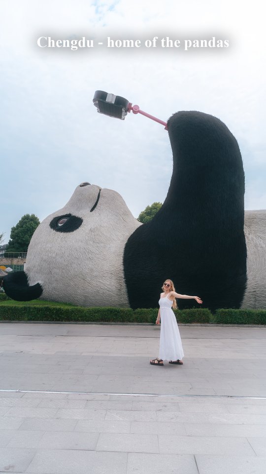 Chengdu: A City Infused With Panda Culture