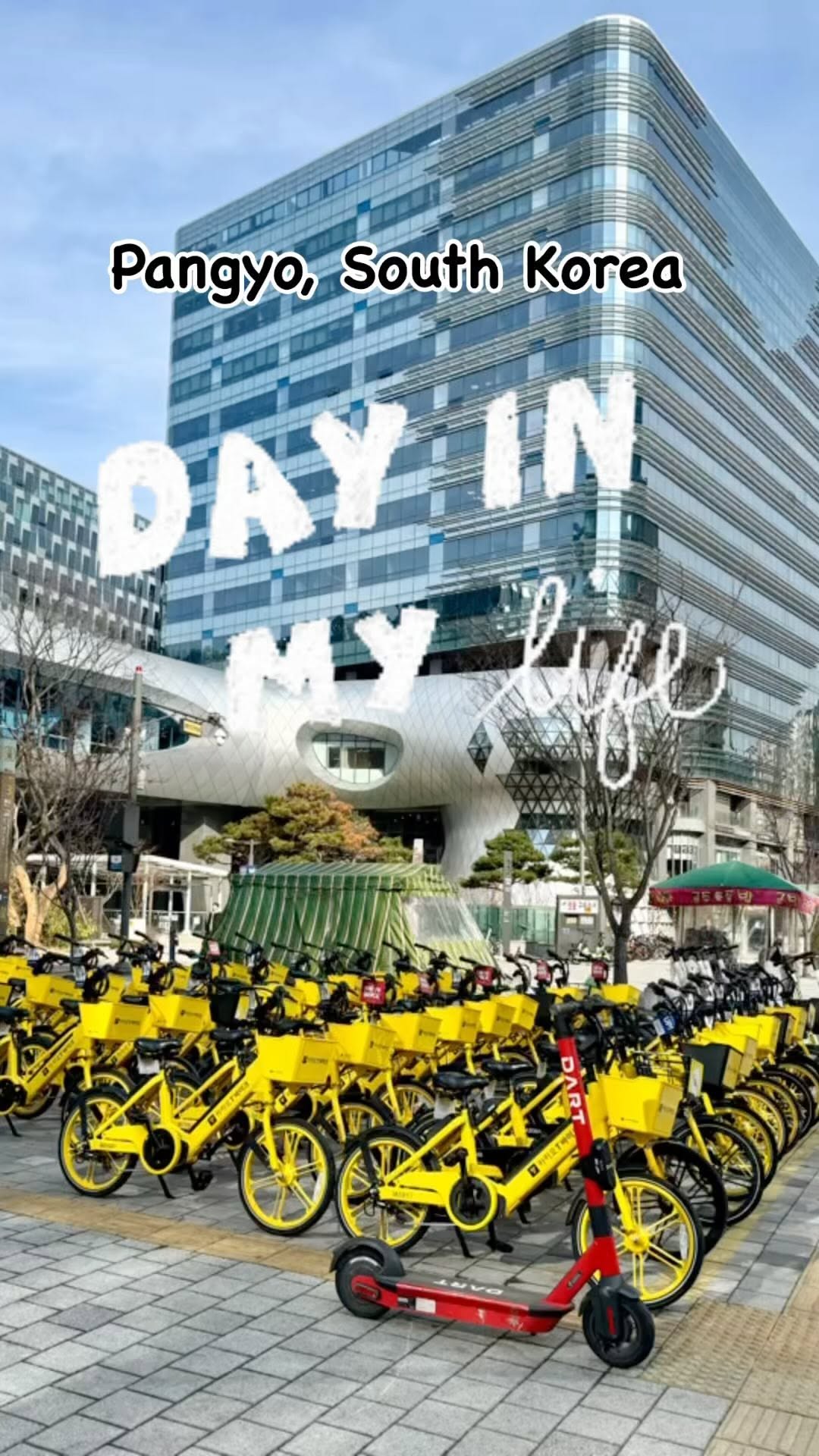 Pangyo's Premier Shopping and Dining Destinations