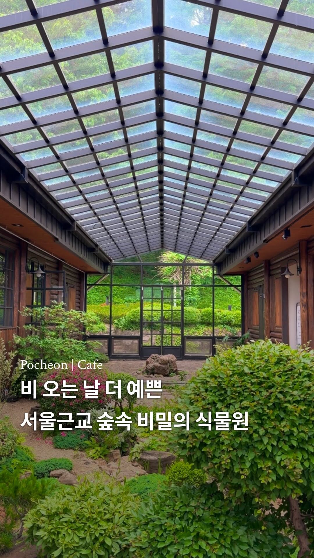 Pocheon Botanical Garden Cafe Offers Forest Escape