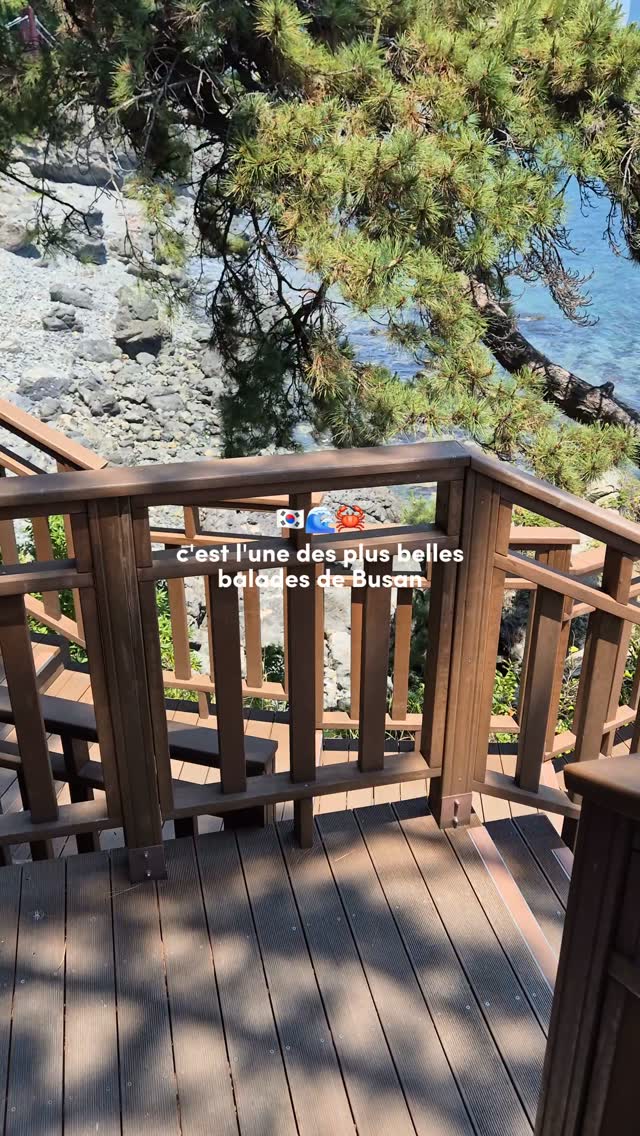 Coastal Walk Near Haeundae Beach in Busan