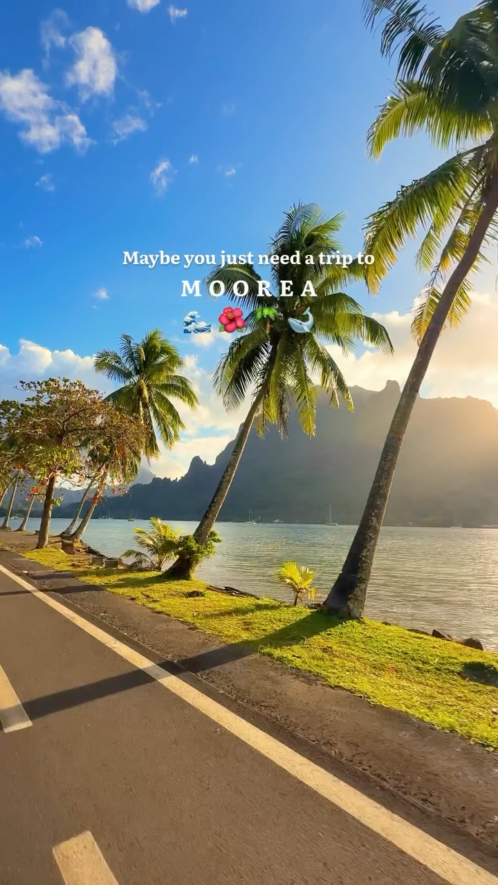 Discovering the Beauty of Mo'orea