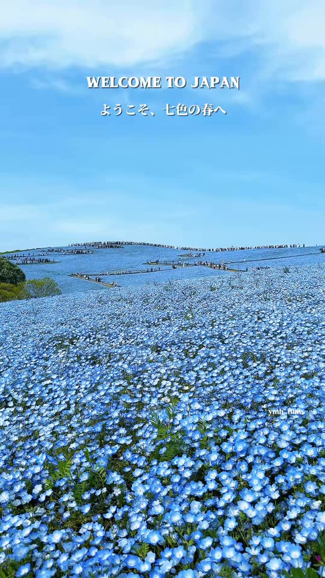 7 Parks in Japan