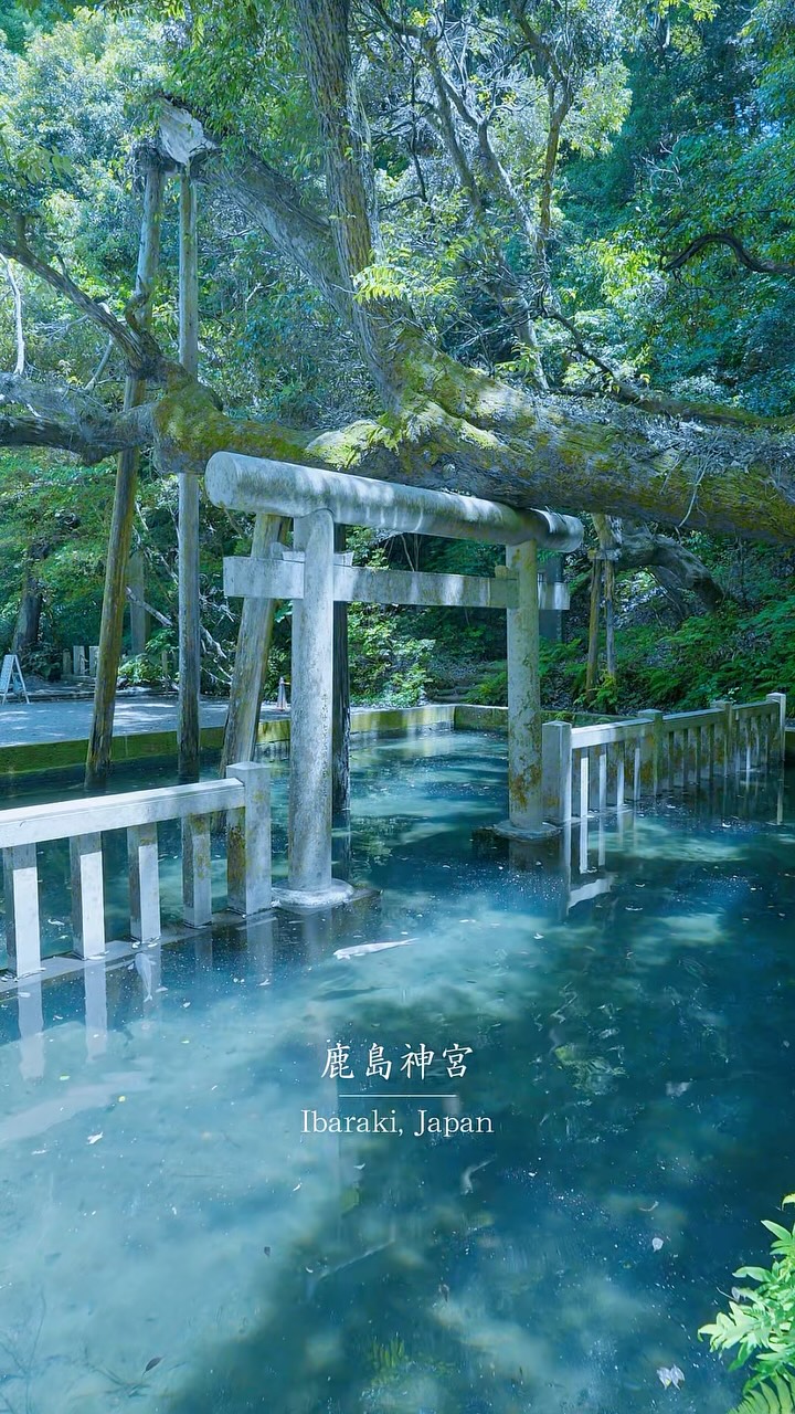 4 Attractions in Japan