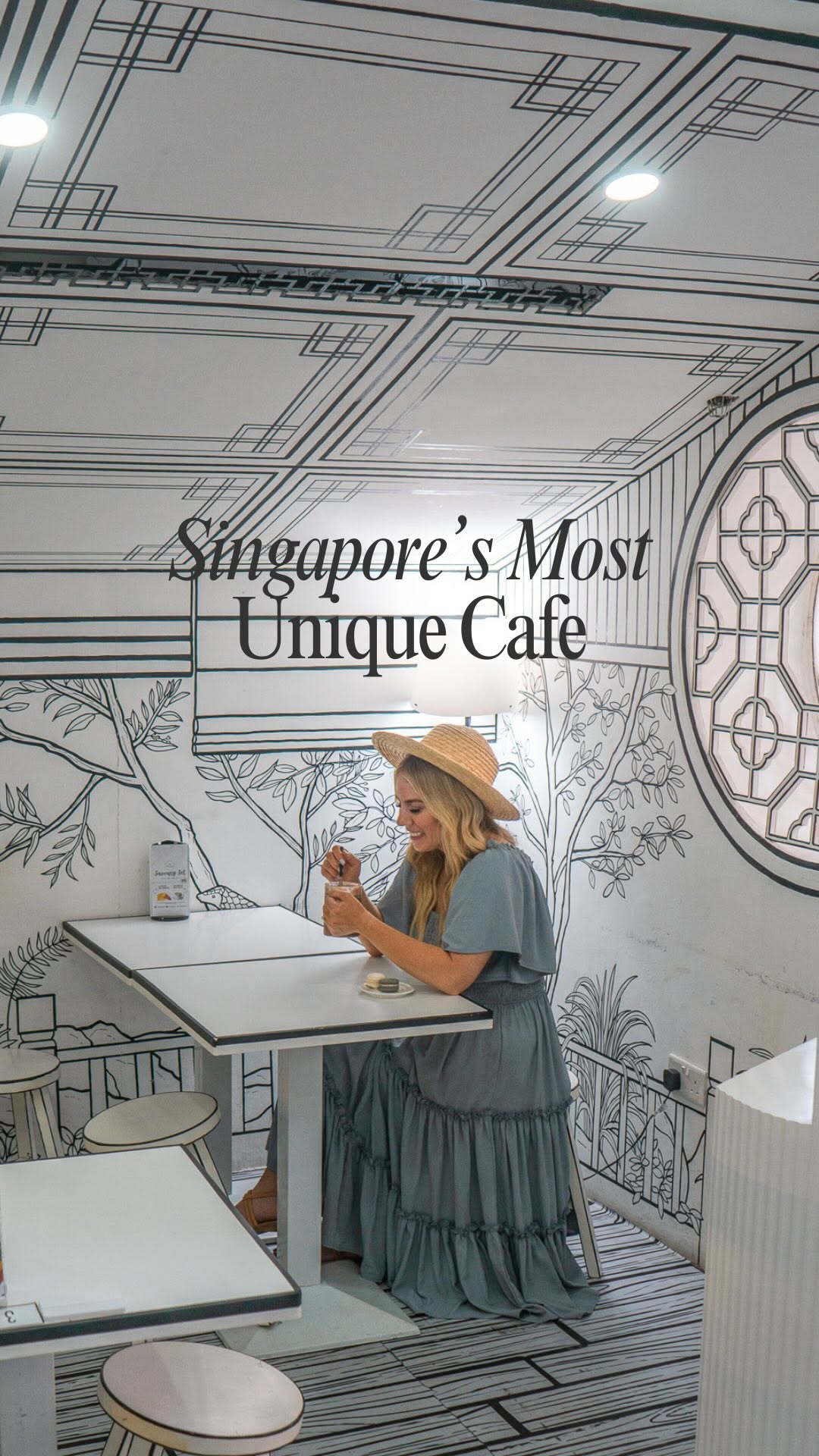 Singapore Attractions Including a 2D Cafe