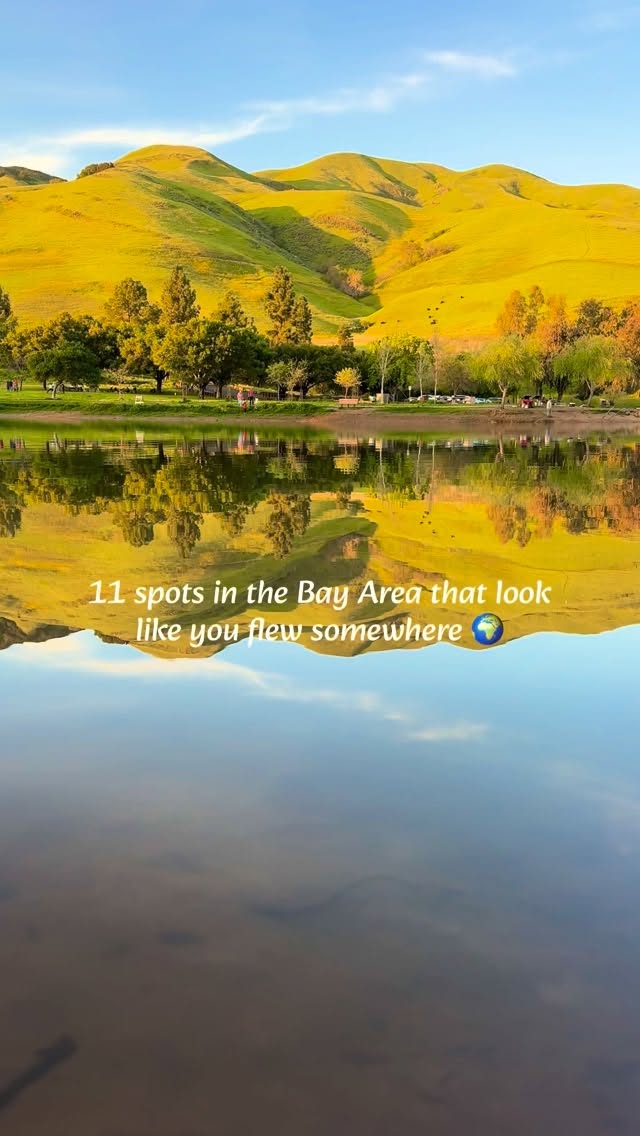Bay Area Spots That Transport You Abroad