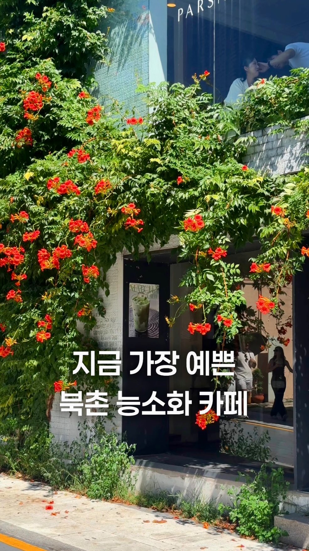 Manok Cafe: Hanok Views and Trumpet Vine Beauty