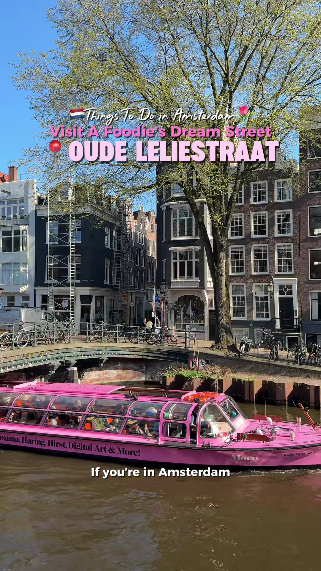 6 Cafes in Amsterdam