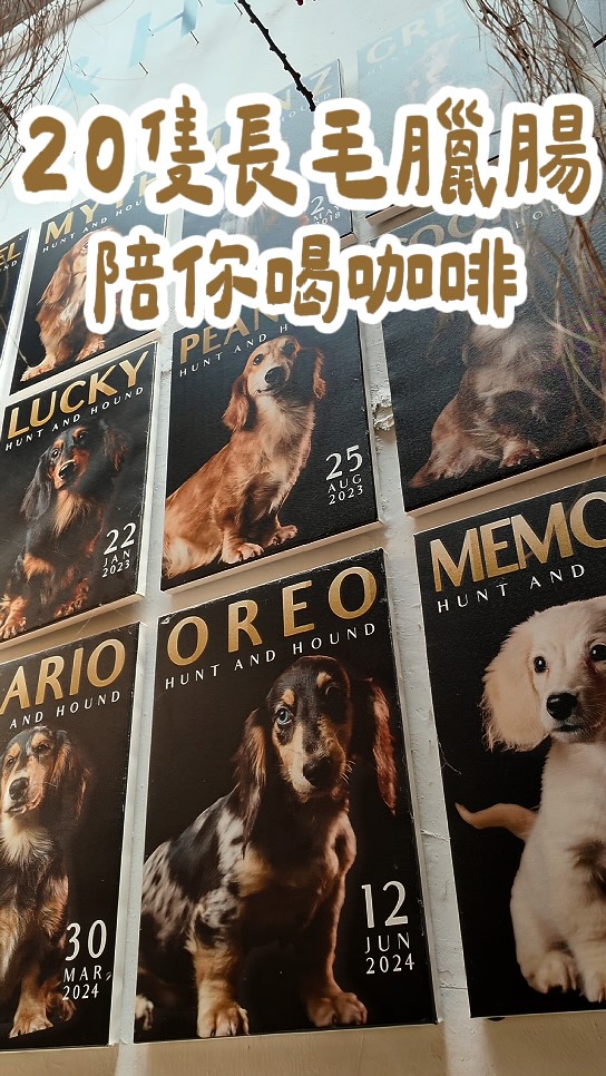 Penang Cafe Features Dachshunds, Meerkats, and Reptiles