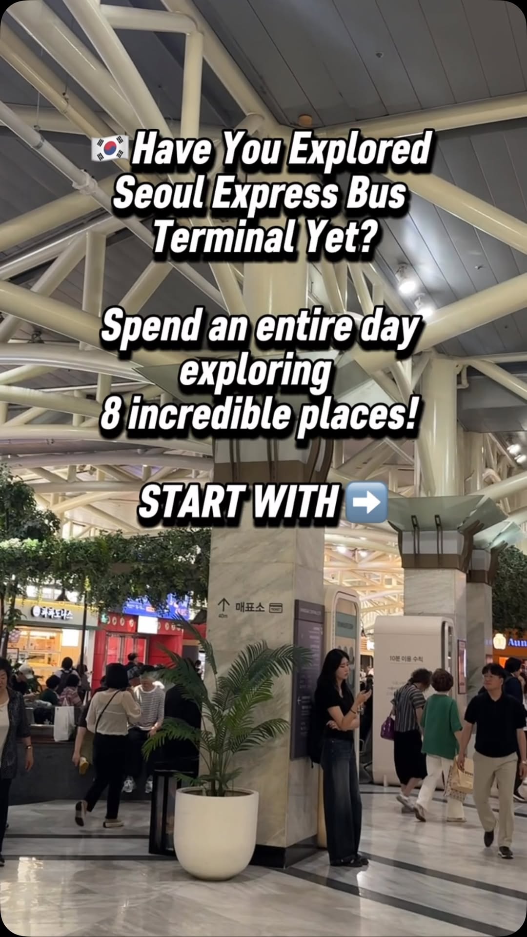 Seoul Express Bus Terminal Area Exploration
