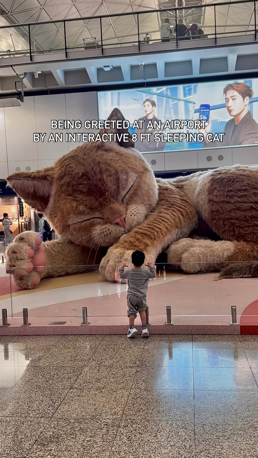 Hong Kong Airport Features Giant Interactive Cat Art