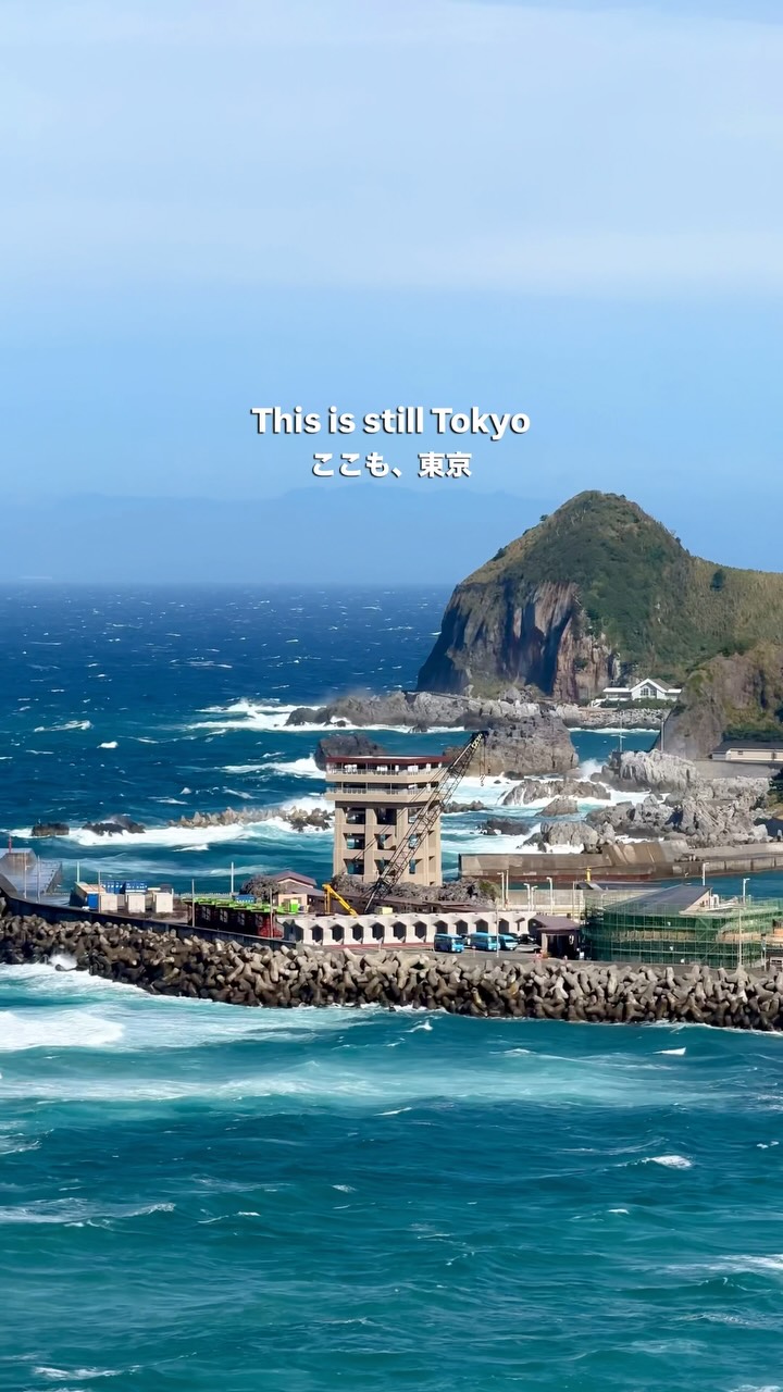 5 Attractions in Tokyo