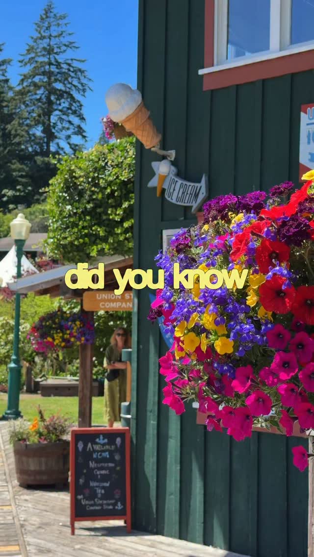 Island Day Trips Near Vancouver