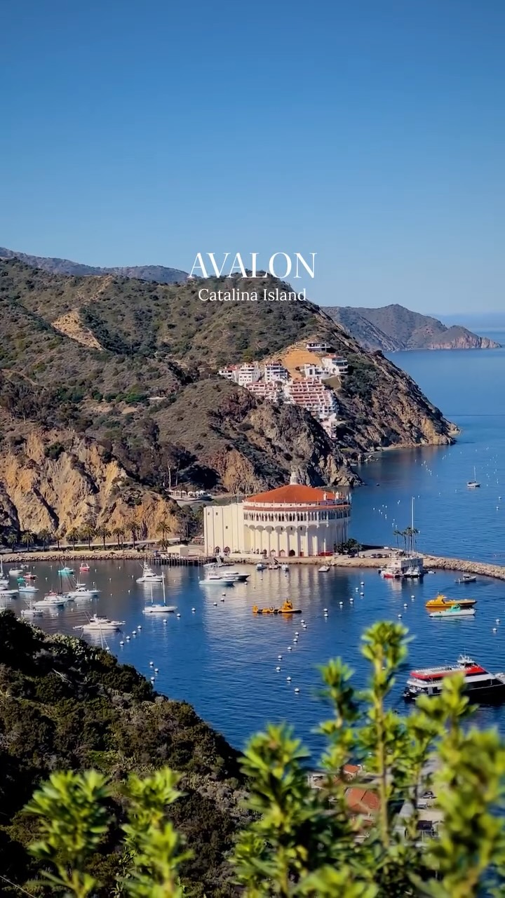 Catalina Island: California's Amalfi Coast Escape