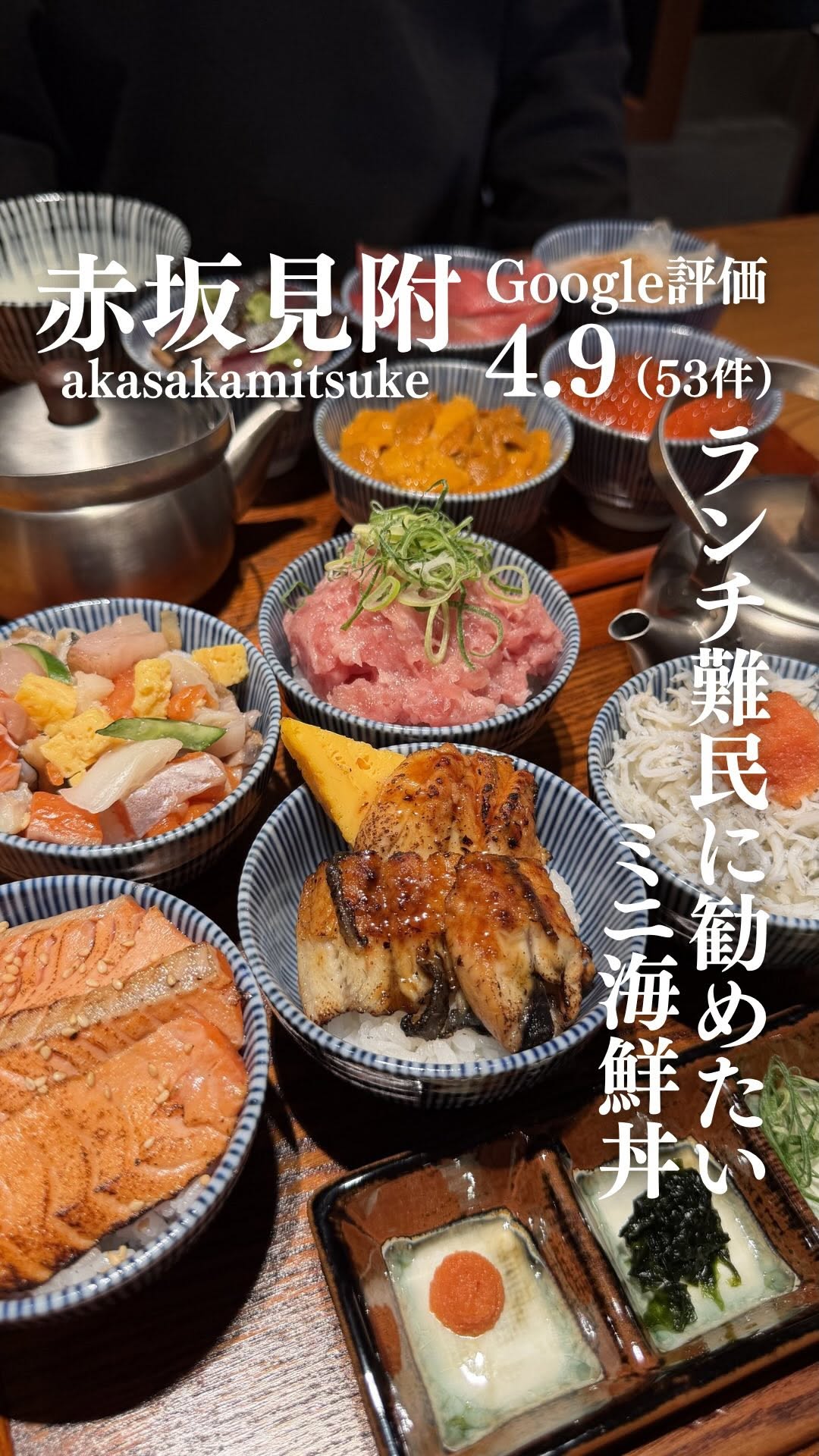 Mini Kaisendon Restaurant in Tokyo