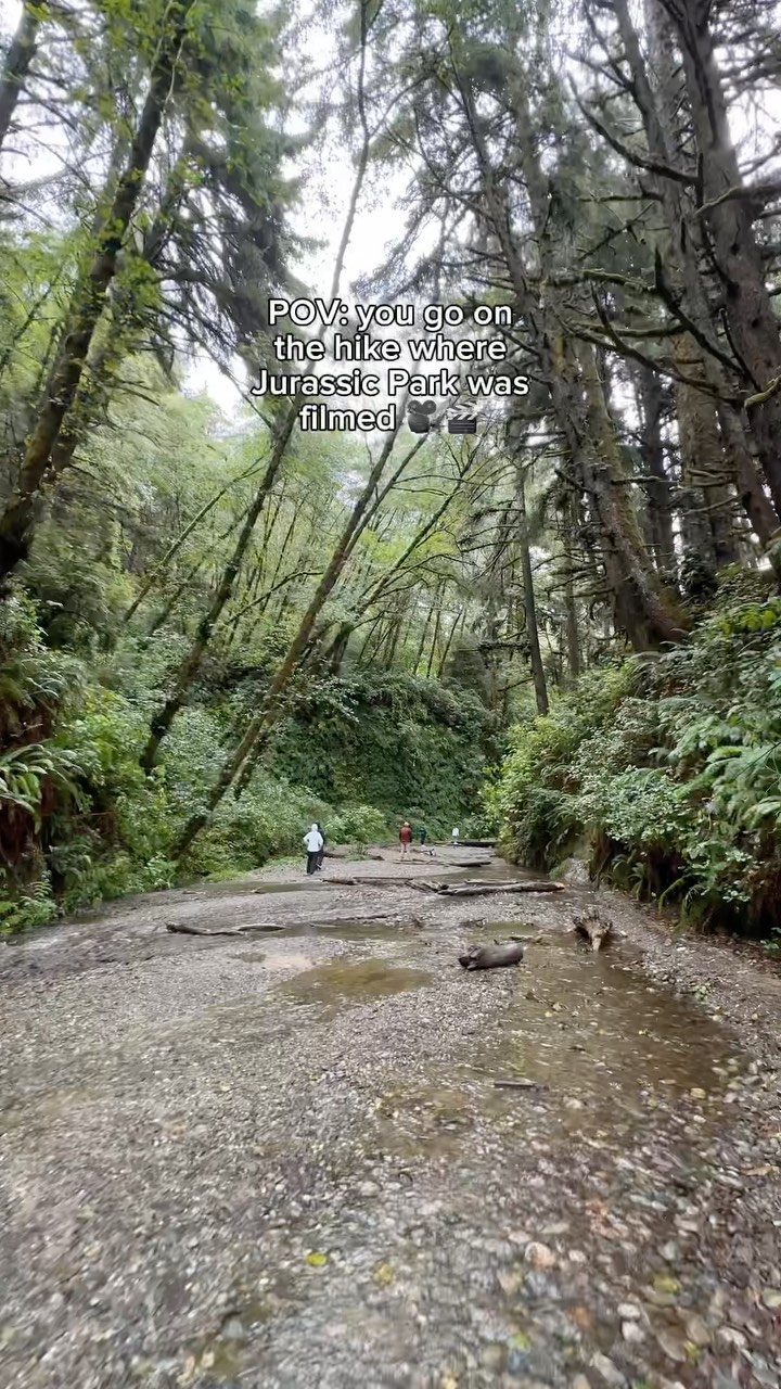 Northern California Redwoods And Fern Canyon Park