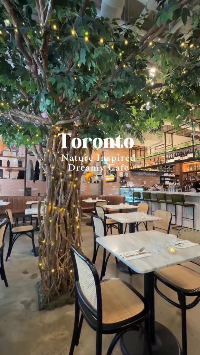 Pigeon Café's Charming Downtown Toronto Ambiance