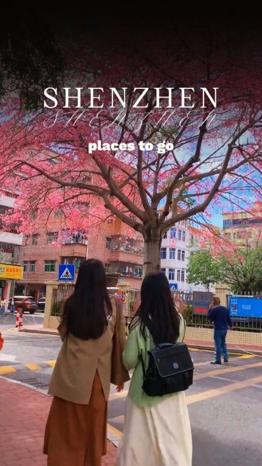 11 Places in Shen Zhen Shi