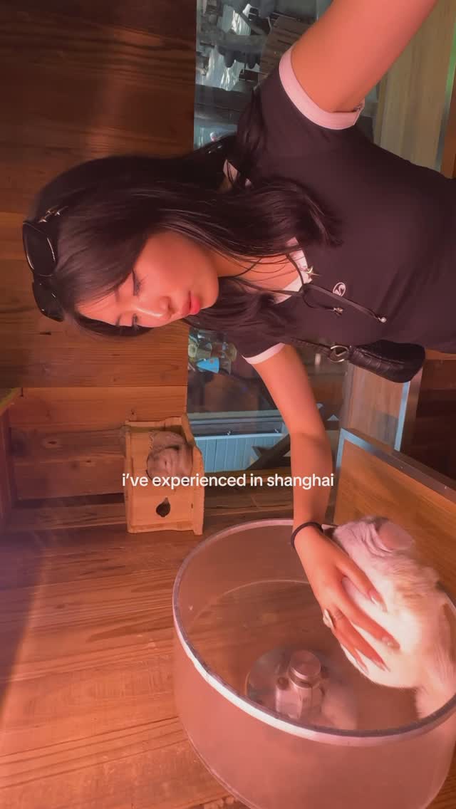 1 Restaurants in Shang Hai Shi