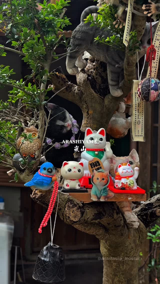 Kyoto's Arashiyama District Attractions