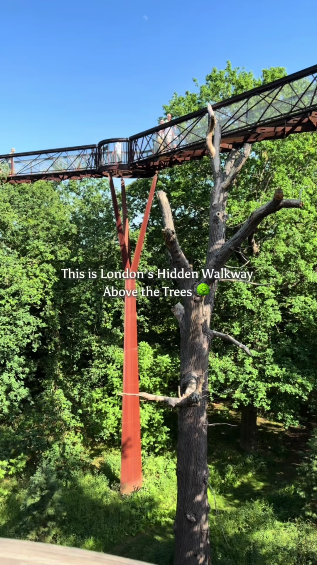 London's Treetop Walkway Offers Unique Garden Views