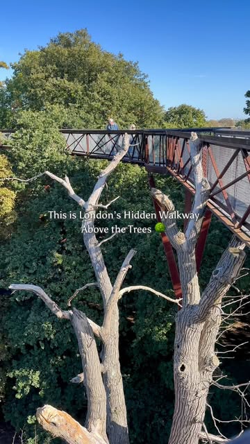Kew Gardens' Treetop Walkway Offers Unique Views