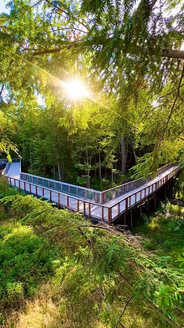 3 Hikes in Newmarket