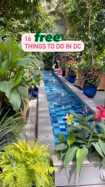 Washington DC's Iconic Landmarks and Museums