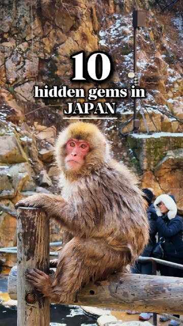 8 Attractions in Japan