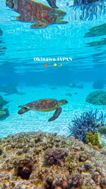 Okinawa And Kerama National Park