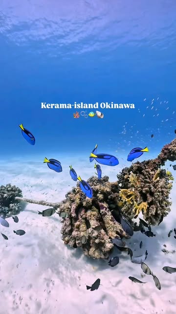 Kerama National Park And Tokashiki Island
