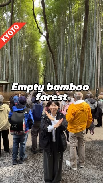 Arashiyama's Temples, Bamboo, and Bridges