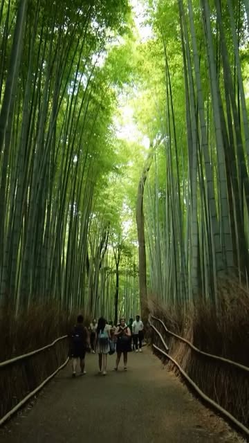Japanese Destinations With Cultural Significance