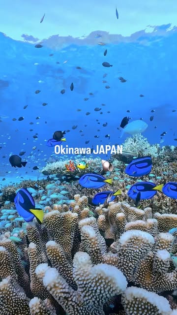 Okinawa's Must-Visit Spots