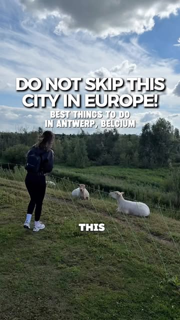 7 Places in Antwerpen