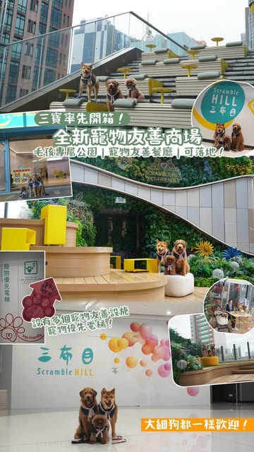 New Pet-Friendly Mall Opens With Rooftop Garden