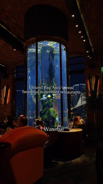 Bay Area Waterfront Dining Destinations