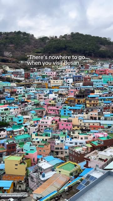 Busan City Centre: Culture, Markets, and Landmarks