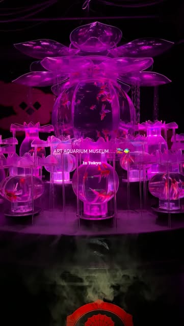 Art Aquarium Museum Immerses Visitors in Aquatic Exhibits