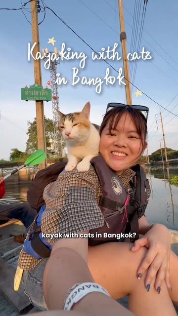 Bangkok's Huatakhe Offers Unique Cat-Friendly Market & Cafe
