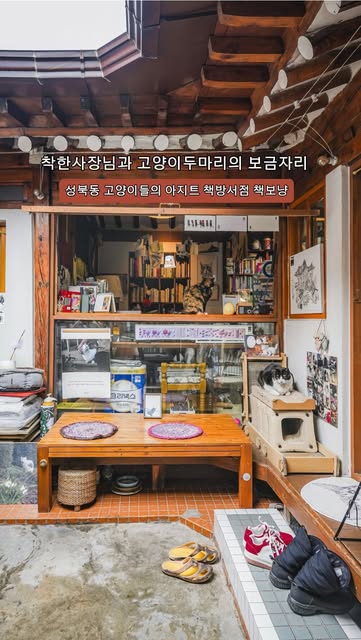 Cat Bookstore in Traditional Korean Hanok House