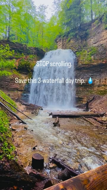 3 Nature spots in Hamilton
