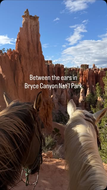 Horseback Riding Through Bryce Canyon National Park