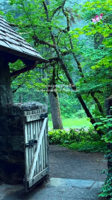 Oregon's Silver Falls State Park Nature and Amenities