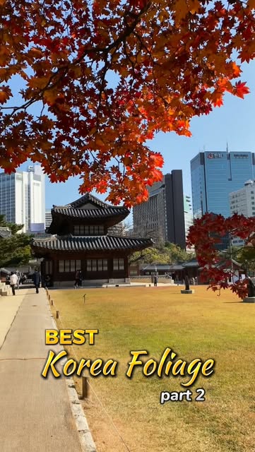 Four Iconic Korean Autumn Destinations