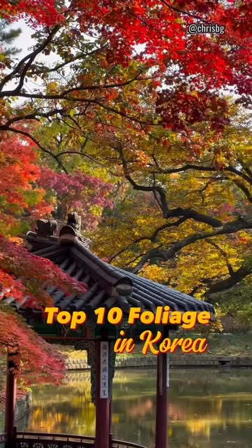 Korea's Most Beautiful Autumn Foliage Destinations