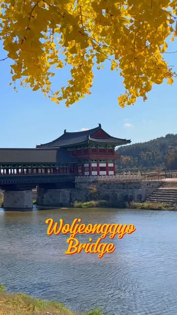 Woljeonggyo Bridge: Gyeongju's Autumnal Silla Masterpiece