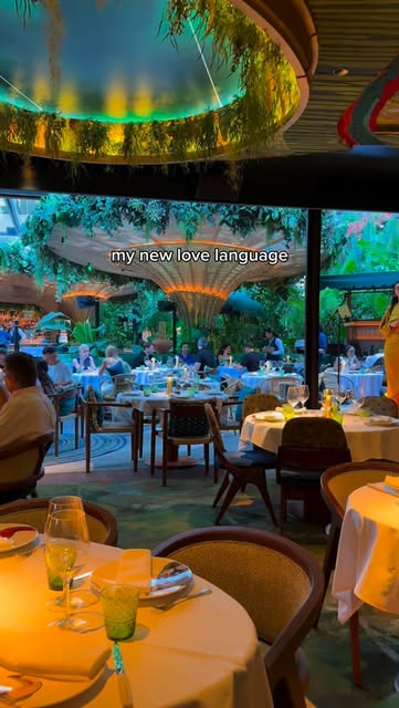 Amazónico Miami: Jungle-Inspired Dining and Nightlife