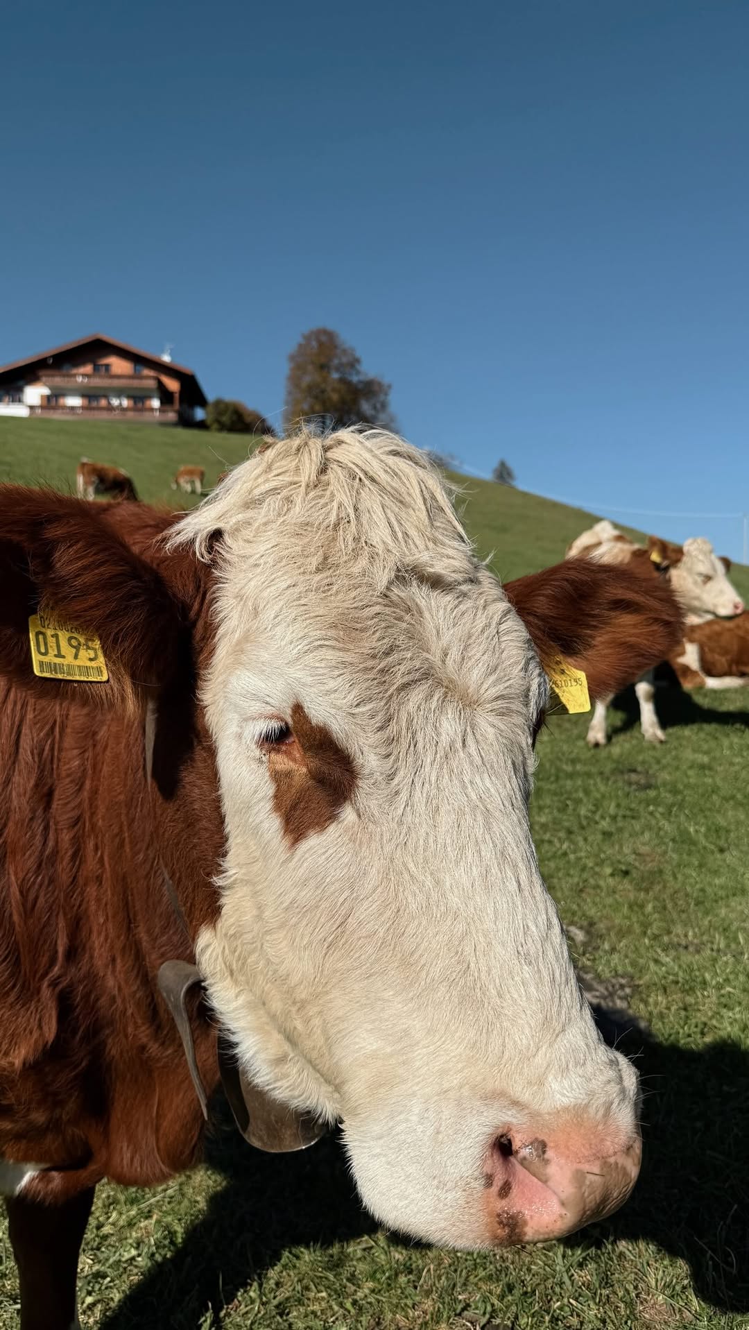 5 Attractions in Trentino-Alto Adige
